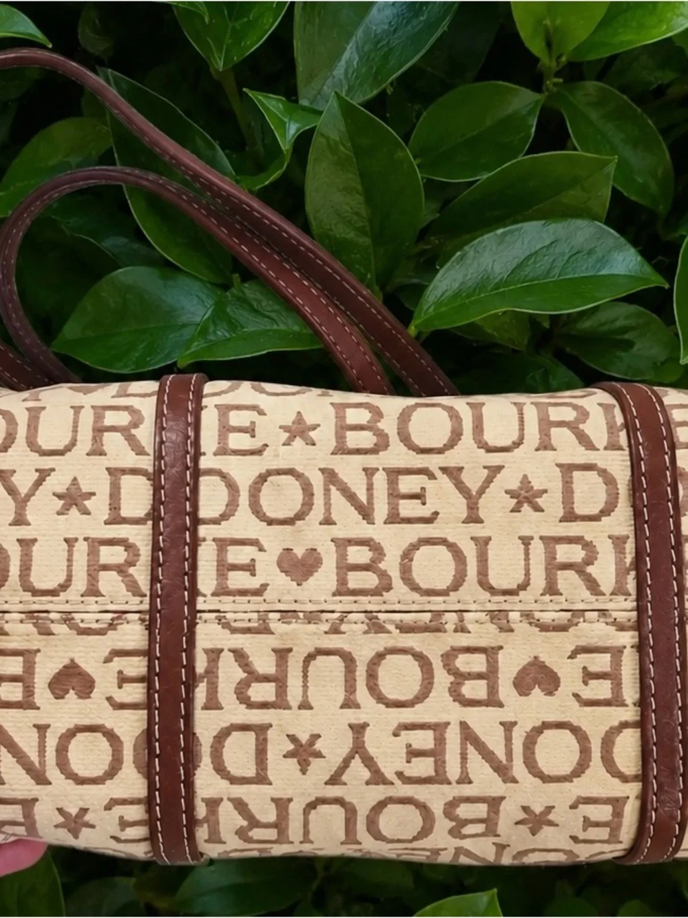 Dooney & Bourke stylish brown